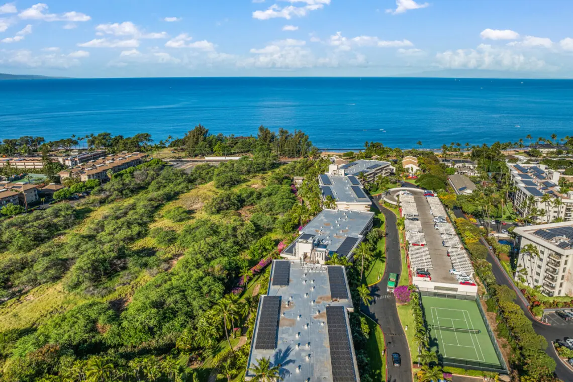 123155 310198 CLzfVdksQF9WNB09VAHQ33t qFge7FlPqNn1YzD0IF8 683e6a1b61293.jpg