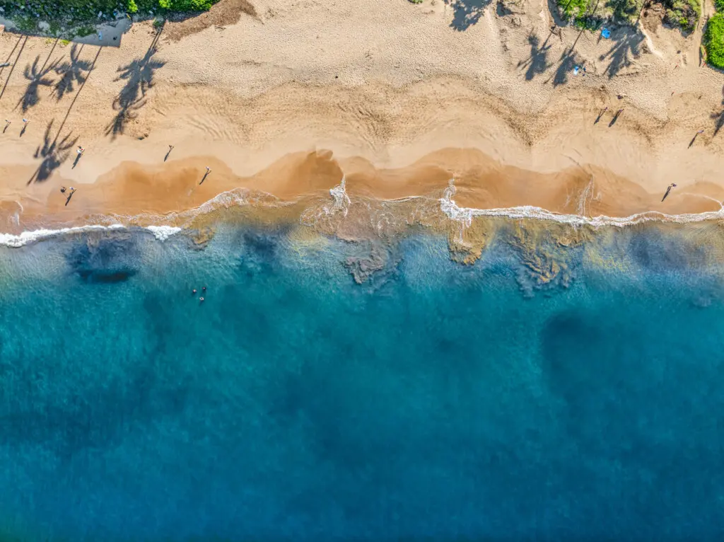 123155 310198 D2MM41WmhTBkdn4MLmJKdv9tHG0tHHEjuKiB0oN2A 4 683e6a88f28a7.jpg