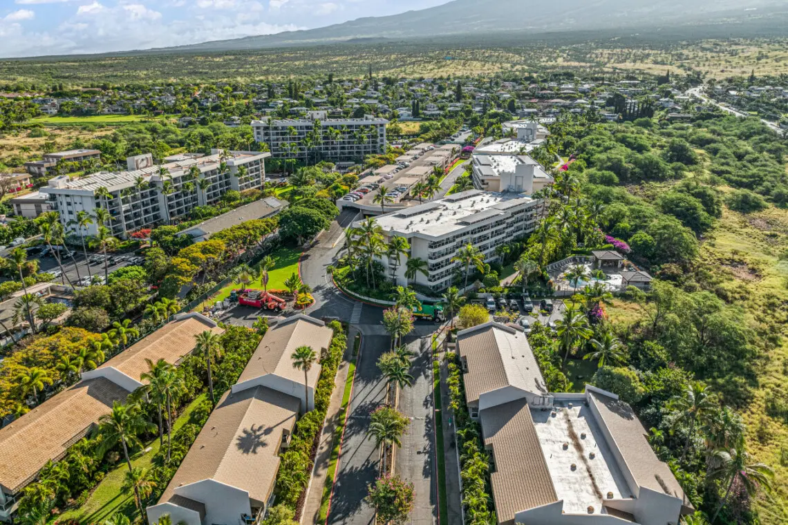 123155 310198 DojNYIQqJyFo2XQdU6gv3Jhm CgqY4nsk9sTd3YpfpM 683e6a29d1845.jpg