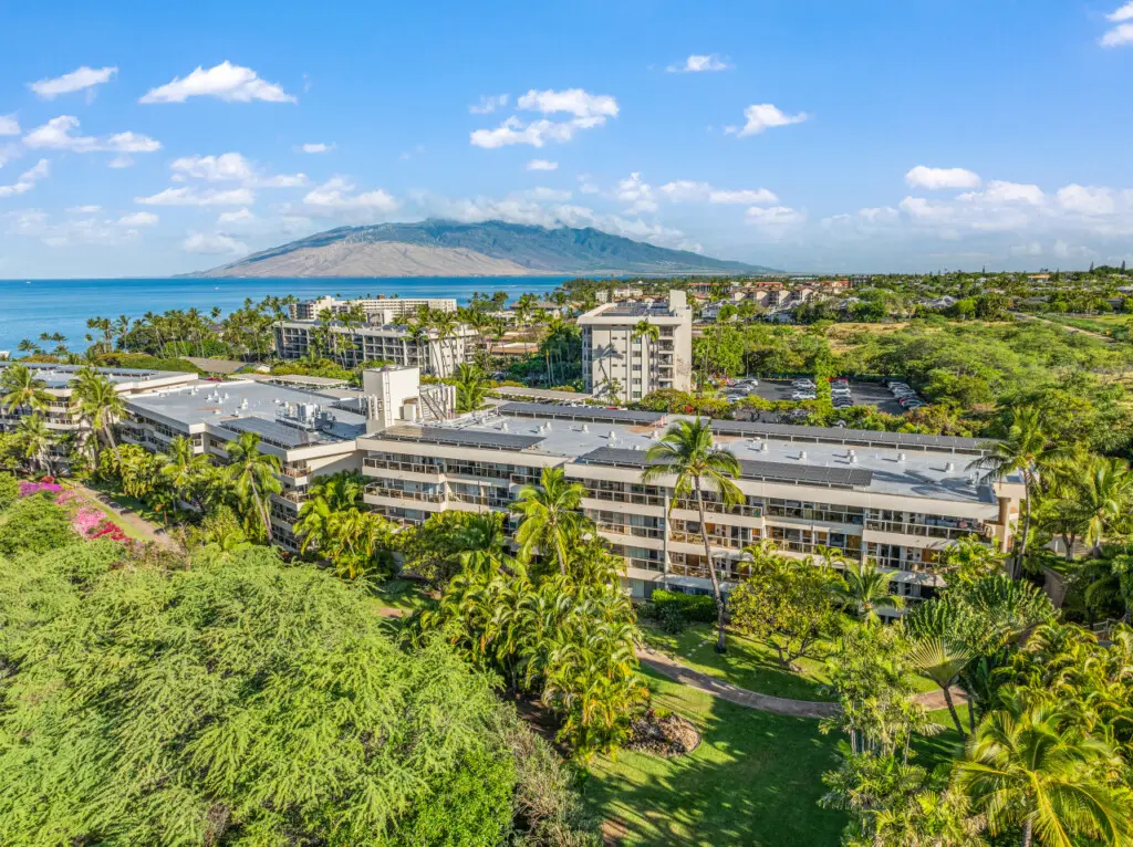 123155 310198 WZKKBRt4kZfbTUB I685mKXbKG9OND EB qSZfQv2h4 683e6a4665abf.jpg