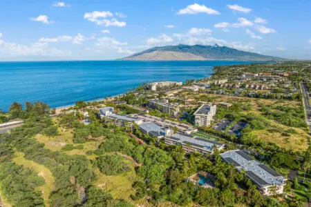 123155 310198 XwkoToGvPiWsIE2axXVgSrvKcaidWtIBvD12AMdDxe8 683e6a5535048.jpg