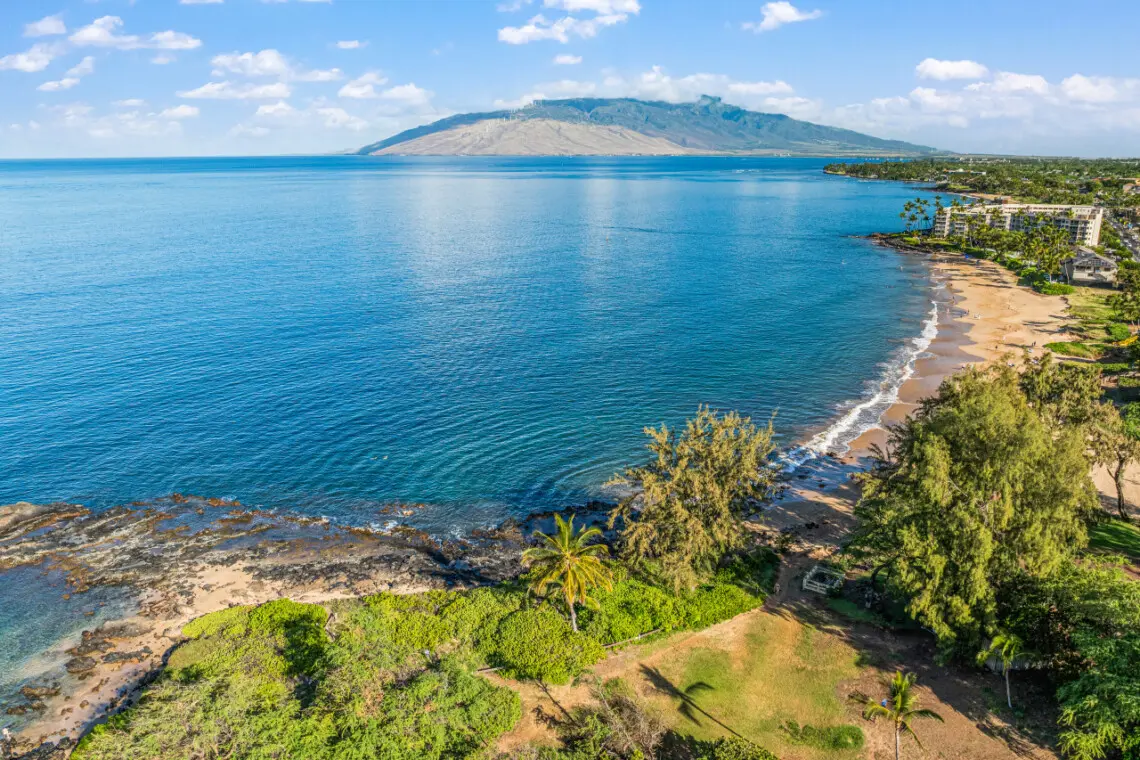 123155 310198 cm1JsHMyR1NaYnXAMfaqfiYppS3cc zMPXgsK ql3BI 683e6af8664d7.jpg