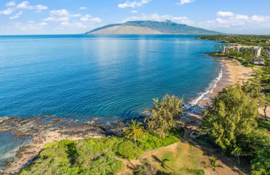 123155 310198 cm1JsHMyR1NaYnXAMfaqfiYppS3cc zMPXgsK ql3BI 683e6af8664d7.jpg