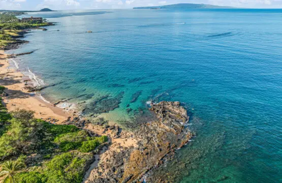 123155 310198 wU6YxYNdJNa9lgR3su5VGk1uN6V7KhVmJIk 6m f95M 683e6ae61f7cf.jpg