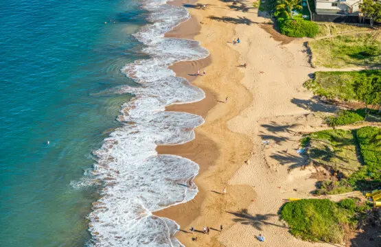 123155 310271 BLvE939TW9 wU8vZzB59IbnVXXxzqytQk0coEN6g jU 683d51e9c7b1d.jpg