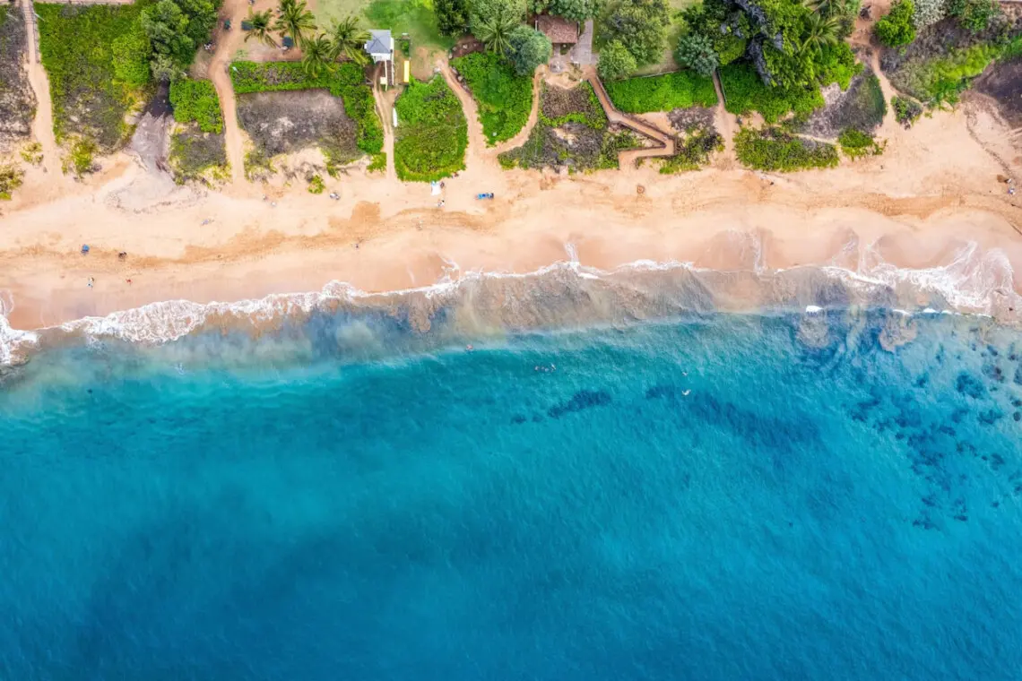 123155 476708 6Vnxt3En eE0MiwTX5AtnKxQRdvUW0ZJH42wVgH40PE 696958e673953.jpg