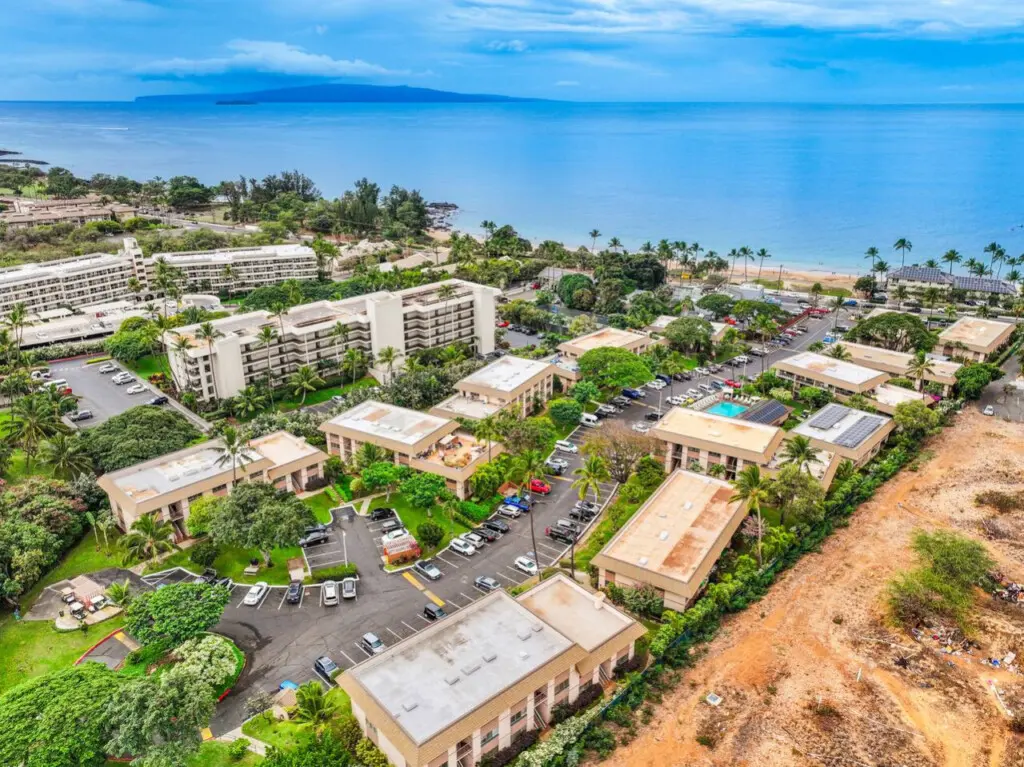 123155 476708 sSJ hxmIis4ga8mhYyOHdT1RRuTHQ1gVuTcBGOlYmyU 69694901c8cab.jpg