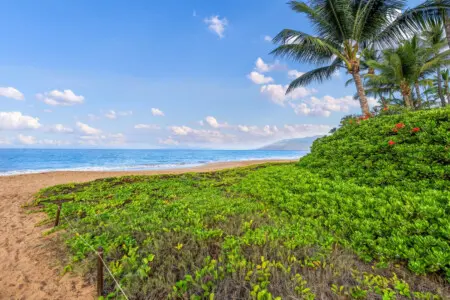 123155 476708 wNDE4RwFELteFRReVf YtWLtSRytF0L0zOB2IBJJpc 696948fda9fd5.jpg