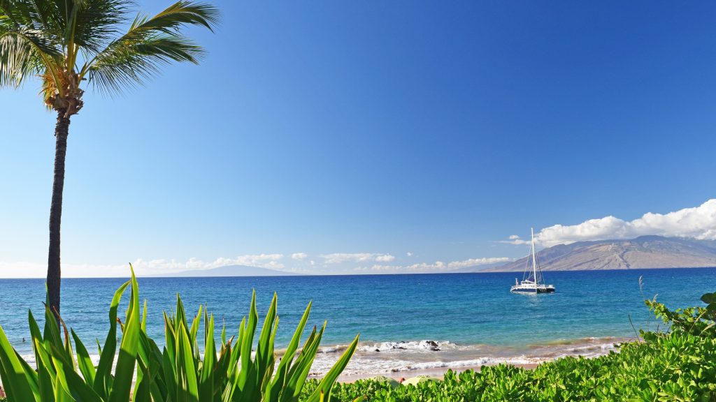 Local Maui beachfront view highlighting island expertise and reliable partners.