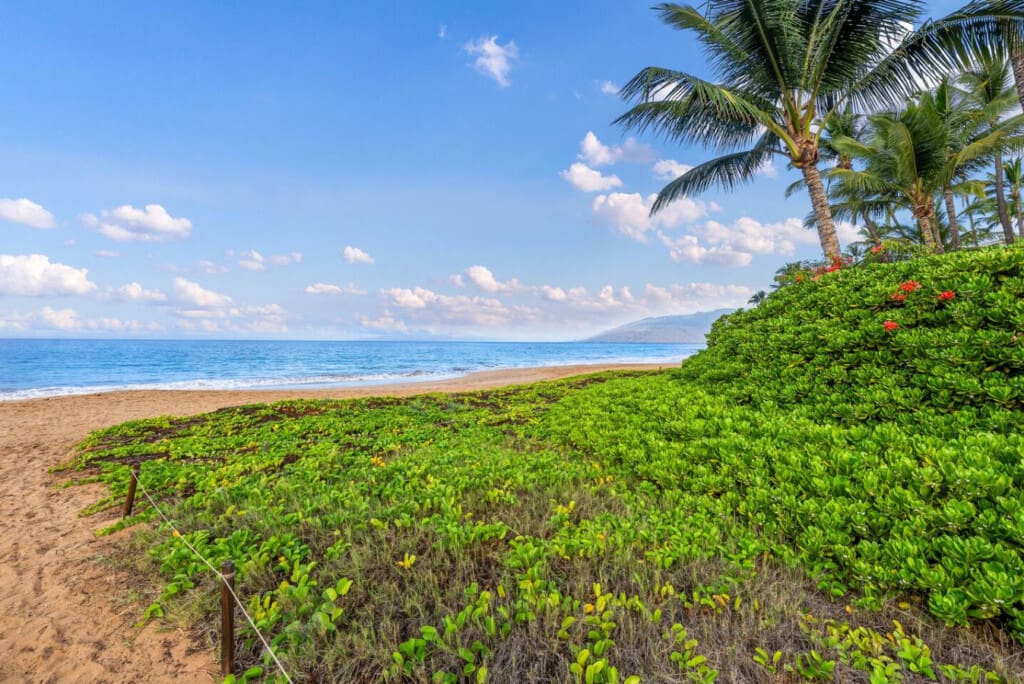 123155 476708 wNDE4RwFELteFRReVf YtWLtSRytF0L0zOB2IBJJpc 696948fda9fd5.jpg